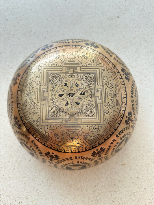 Blok Yoga Penyemangat Alo Yoga - Aqua Cerah/Perak