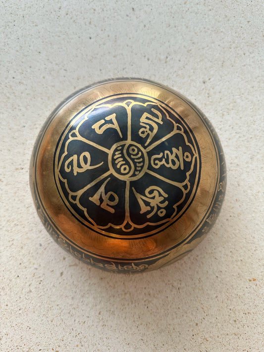 Blok Yoga Penyemangat Alo Yoga - Aqua Cerah/Perak