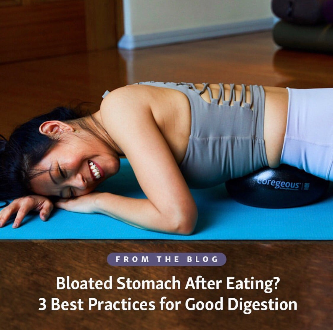 Yoga Tune Up Coregeous Ball - Iris